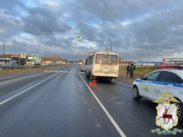 Фото: В Нижегородской области в ДТП с рейсовым автобусом и грузовиком пострадали восемь человек 1