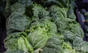 Аналитики рассказали о самых подешевевших в феврале продуктах