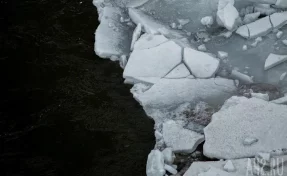 Водолазы достали тело убитого мальчика из водоёма в Ленобласти