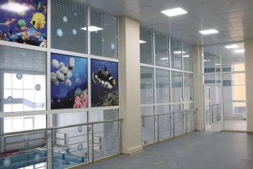 Фото: Власти Кемерова рассказали, когда возобновит работу бассейн «Кировец» 4