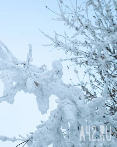 В Кузбассе 12 февраля температура резко упадёт до -20 