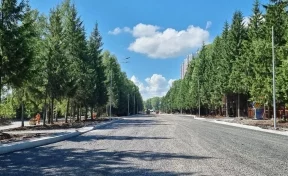 Илья Середюк: при строительстве участка Пролетарской улицы в Кемерове сохранили 340 елей