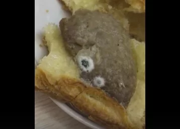 Фото: «Не с говядиной, а с грибами»: кемеровчанка обнаружила плесень вместо начинки в пироге 1