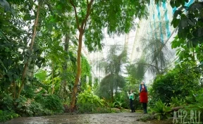 Портал в лето: прогулка по ботаническому саду