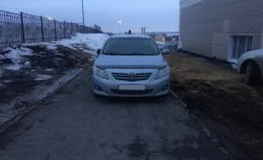 В Кемерове полицейские благодаря фото нашли «мастера парковки»