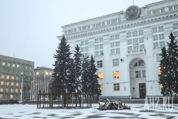В Кемерове на площади Советов начали собирать главную новогоднюю ель Кузбасса