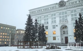 В Кемерове на площади Советов начали собирать главную новогоднюю ель Кузбасса