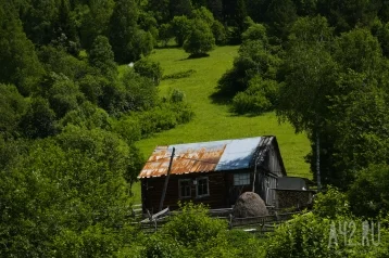 Фото: В России утвердили признаки заброшенного участка, которые станут основанием для его изъятия у владельца 1