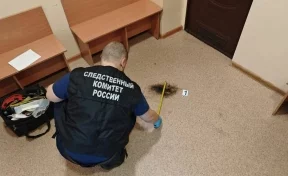 На Камчатке подросток выстрелил в одноклассника из ракетницы в школе