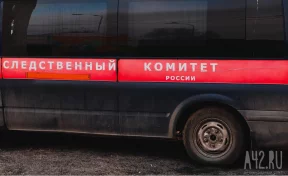 Бастрыкин потребовал доклад об обстрелявшем автобус в Кузбассе подростке