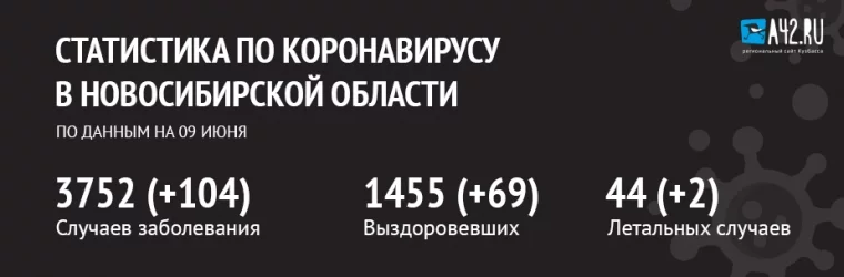 Фото: Коронавирус в Новосибирской области: актуальная информация на 9 июня 1