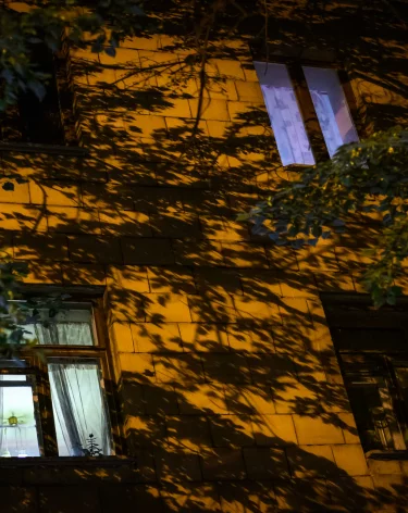 «Живите с ним!»: кемеровчан напугала змея, поселившаяся в подъезде