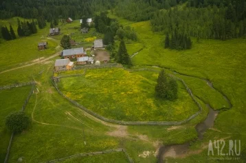 Фото: У кузбассовца изъяли 17 гектаров земли за задолженность по налогам более 5 млн рублей 1