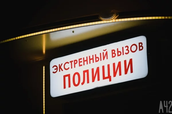 Полиция опубликовала ориентировку на пропавшую в Кемерове 16-летнюю девушку