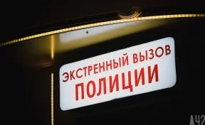 Полиция опубликовала ориентировку на пропавшую в Кемерове 16-летнюю девушку