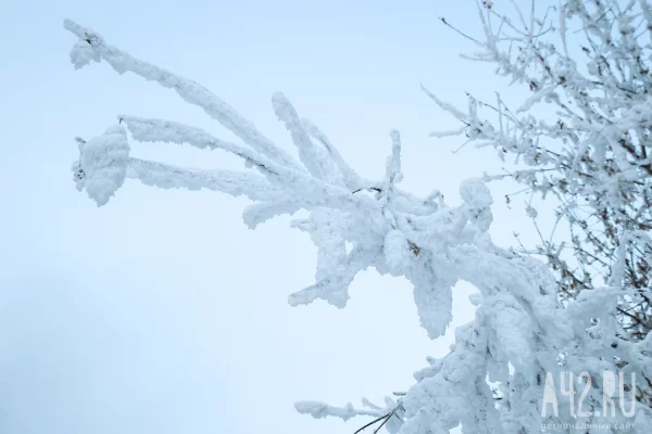 В Кузбассе 12 февраля температура резко упадёт до -20 