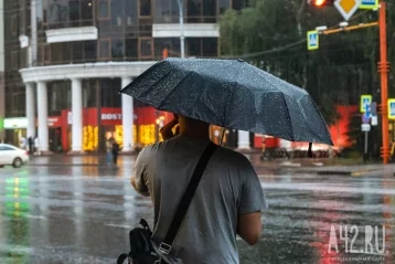 Фото: Осень не за горами: в Кузбассе на неделе похолодает до +2 1