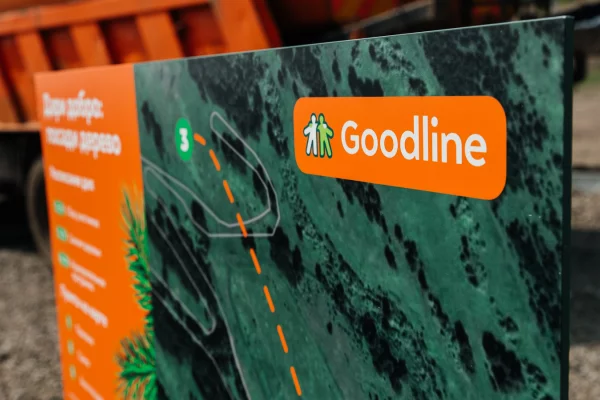 «Дари добро: посади дерево»: стань частью масштабного экопраздника в Новокузнецке!