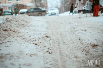 Фото: Кузбасские предприниматели предложили свои методы борьбы со снежными заносами в регионе 1