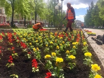Фото: В Кемерове высадят более миллиона цветов 1
