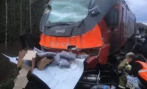 Смертельное ДТП с электричкой и грузовиком произошло в Нижегородской области 