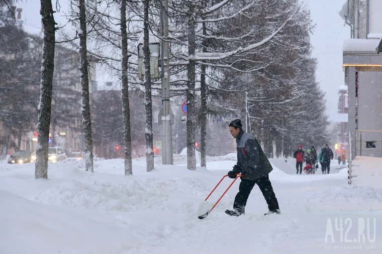 Фото: Подорожание неизбежно: чего ждать кузбассовцам от роста цен в ближайшие месяцы 2