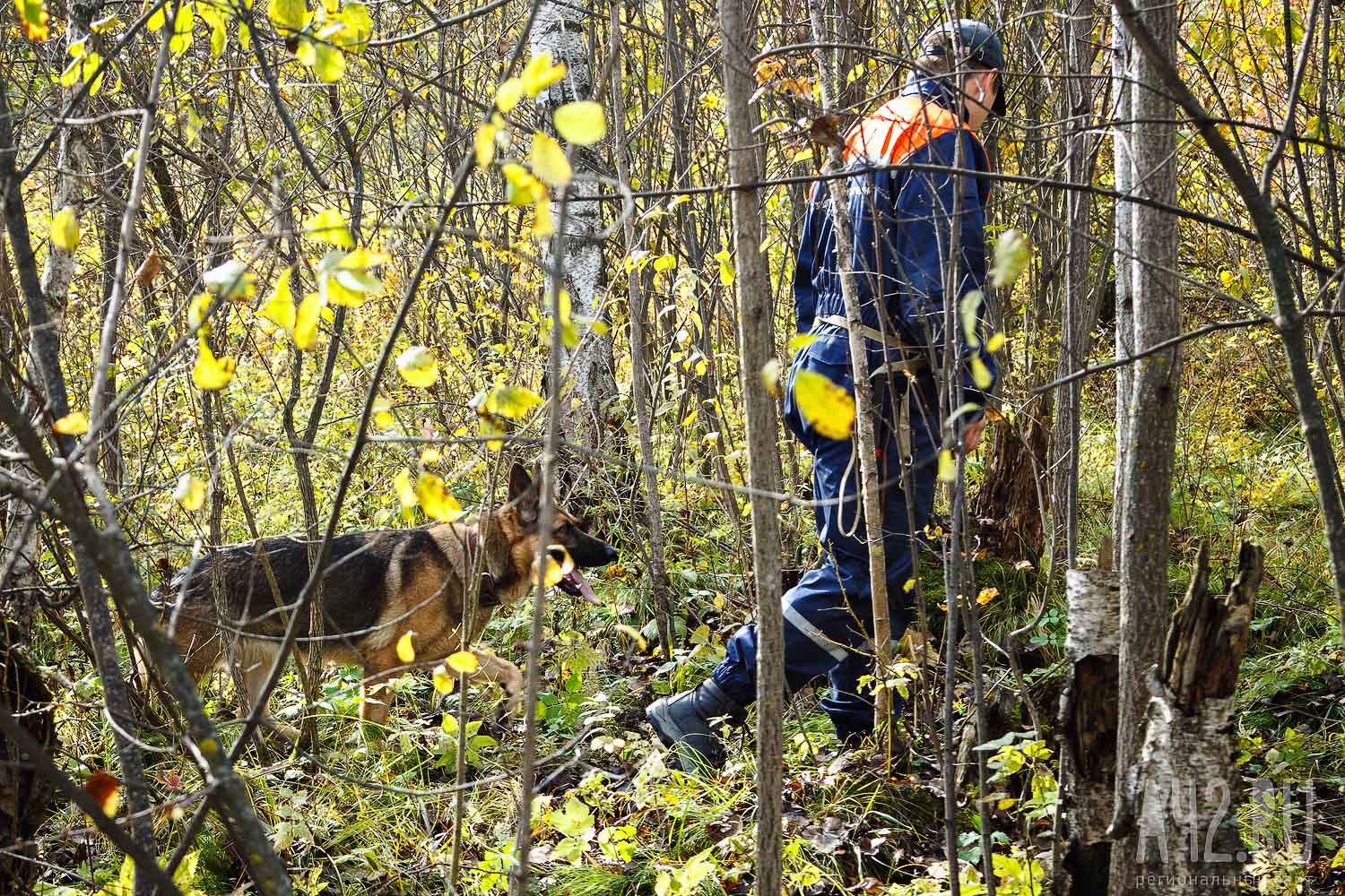 В Кузбассе завершились поиски пропавшего 59-летнего мужчины