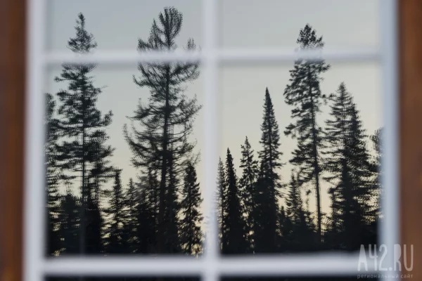 В Кузбассе на продажу выставили летний лагерь за 80 млн рублей