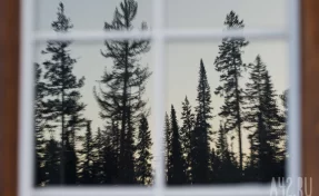 В Кузбассе на продажу выставили летний лагерь за 80 млн рублей