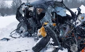 В российском регионе в ДТП с КамАЗом погибли пять человек