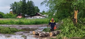 Фото: В Кемерове устраняют последствия шквалистого ветра: на дорогу рухнуло дерево 2