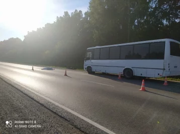 Фото: Автомобилист насмерть сбил водителя автобуса ПАЗ на дороге Новосибирск — Кемерово 1