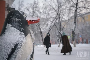 Фото: Кузбасские синоптики снова предупредили о сильных морозах 1