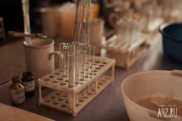 Фото: В России впервые появился медицинский тест, выявляющий сразу 25 вирусов 1