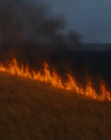 МЧС Кузбасса за вечер ликвидировало возгорания травы в 6 муниципалитетах