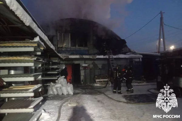 В Новокузнецке сотрудники МЧС спасли человека на пожаре