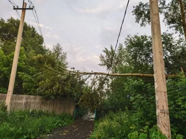 Фото: Около 2 000 домов в Кемерове лишились электричества из-за грозы 2