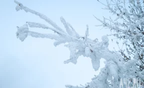 В Кузбассе в конце недели ожидаются перепады температур от -31 до -4 