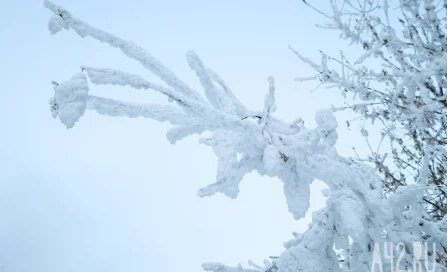 В Кузбассе в конце недели ожидаются перепады температур от -31 до -4 