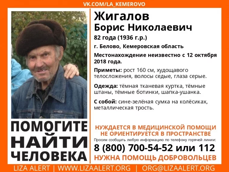 Фото: В Кузбассе пропал без вести 82-летний пенсионер 2
