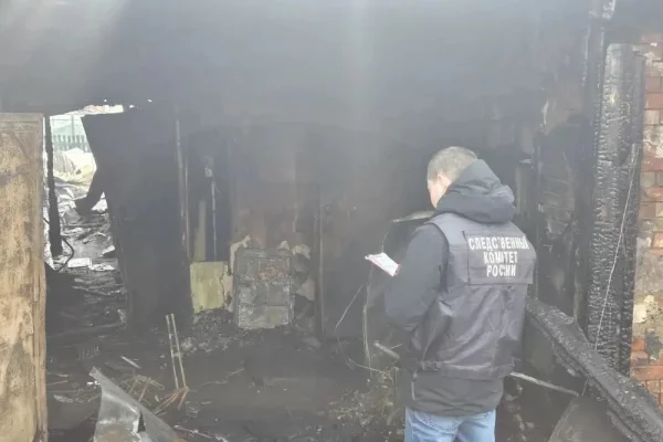 Бабушка с 3-летней внучкой погибли в результате пожара в Юрге