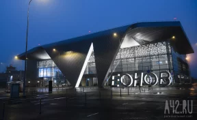 Жители кемеровской Лесной Поляны попросили у властей прямой рейс до аэропорта