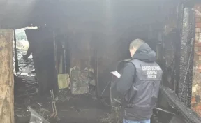 Бабушка с 3-летней внучкой погибли в результате пожара в Юрге