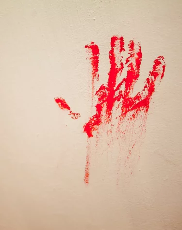 В Кузбассе 62-летний мужчина зарезал женщину и сам пришёл в полицию