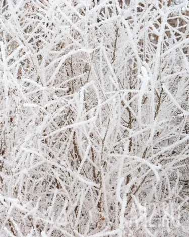 В Подмосковье чиновник получил 8 лет колонии за махинации с вывозом снега