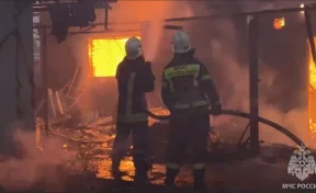 В ЛНР при пожаре на дачах пострадали 11 человек, повреждено около 100 строений