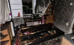 Прятались от огня под покрывалом: двое детей погибли на пожаре в Кузбассе