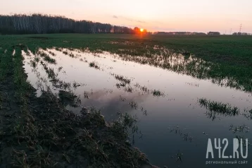 Фото: Илья Середюк: в Кузбассе до 2030 вернут в оборот все неиспользуемые земли 1