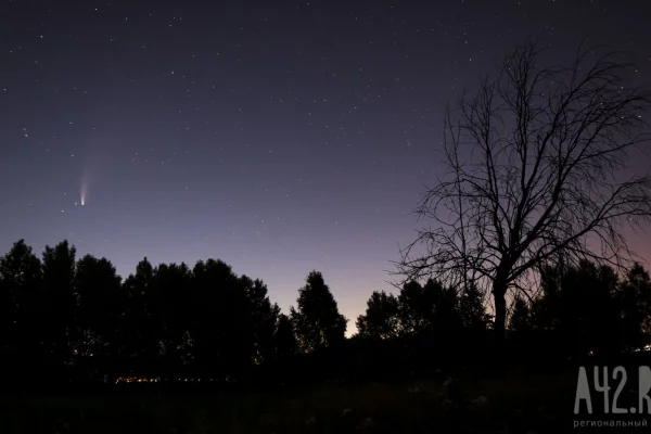 Силы ПВО за ночь уничтожили более 20 беспилотников над регионами России и Чёрным морем