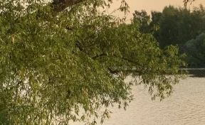 Подросток утонул в Москве-реке после прыжка с тарзанки